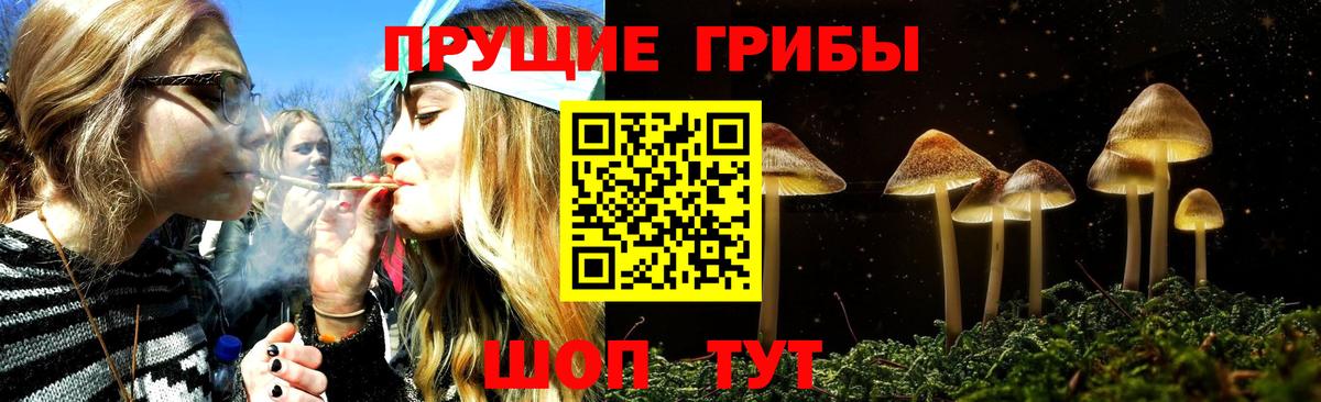 купить   Псилоцибиновые грибы Psilocybine cubensis  Россия  Вход с VPN  Псилоцибиновые грибы Psilocybe 